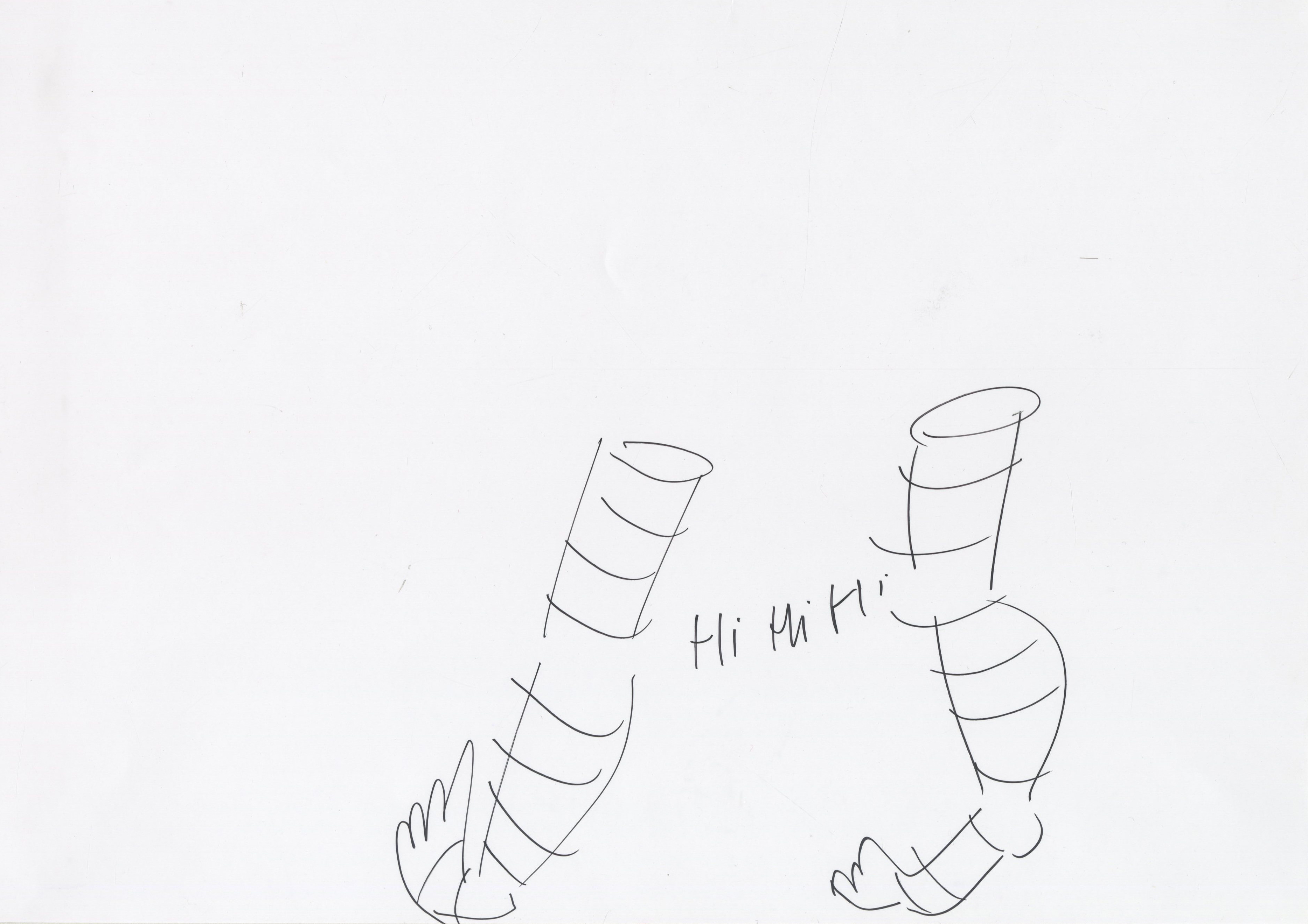 chaussettes ivres